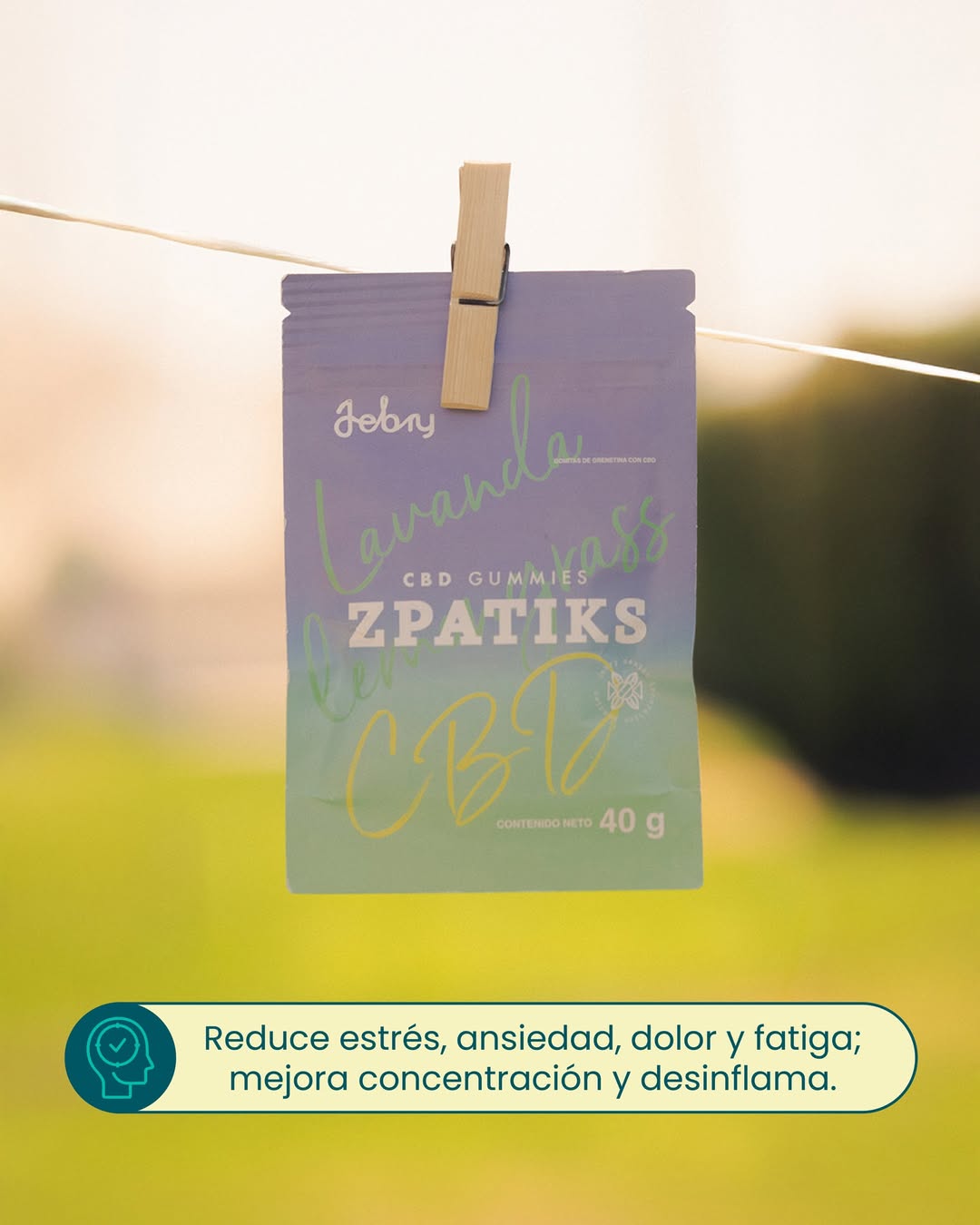 Zpatiks Gomitas Sin Azúcar