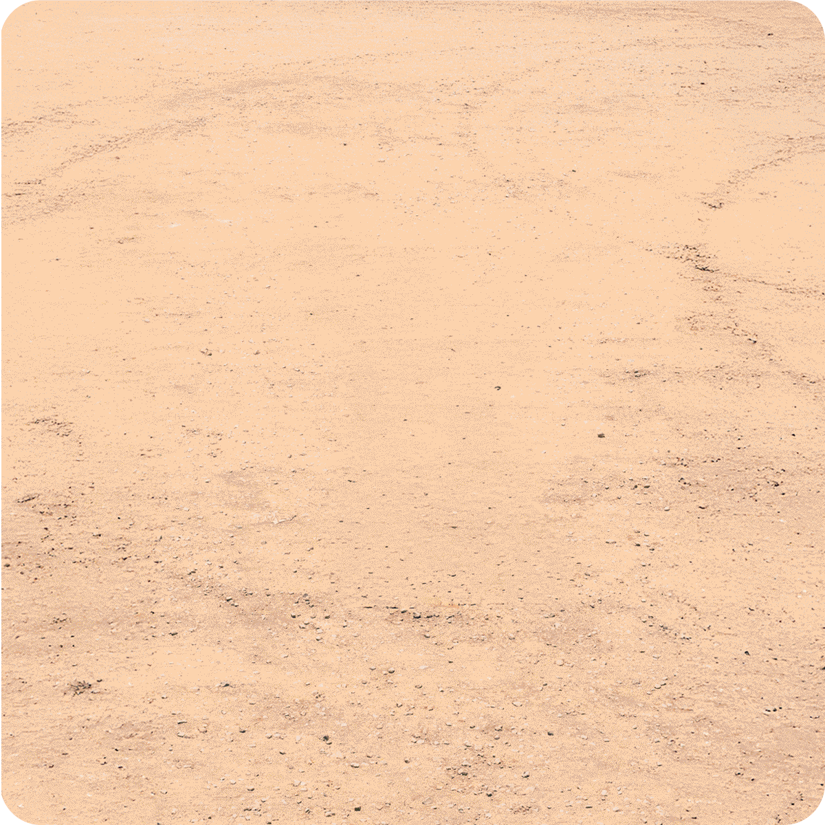 Zpatiks Gomitas Sin Azúcar